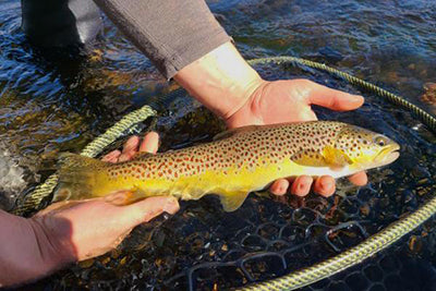 TCO Fishing Report – October 28, 2020