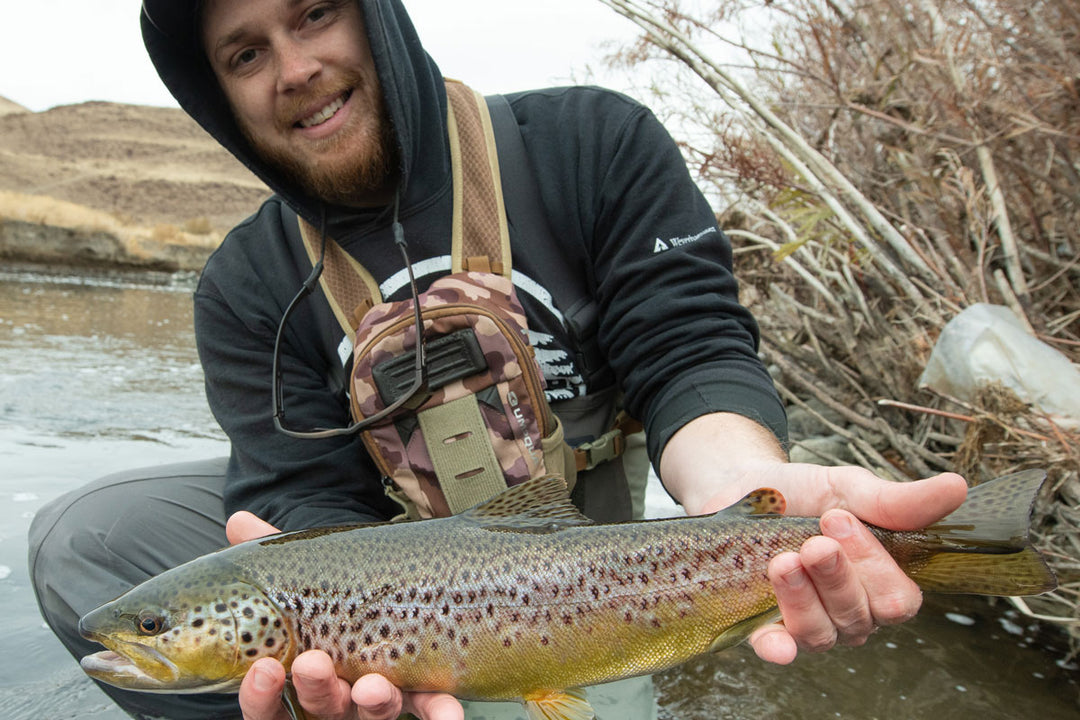 December 16, 2022 Fly Fishing Report for the Truckee River and Pyramid Lake