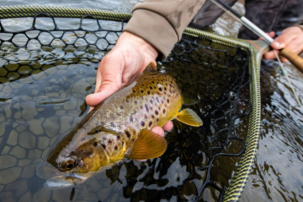 August 26, 2022 Fly Fishing Report for the Truckee River Region