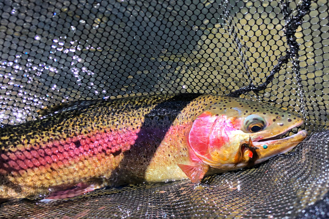 Truckee Tahoe FLy Fishing Report July 9, 2021