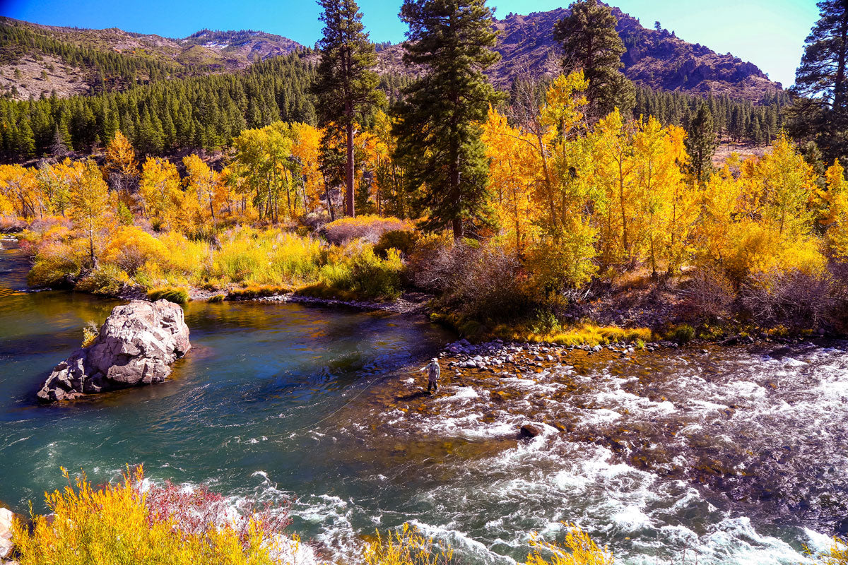 October 30, 2022 Fly Fishing Report Report for the Truckee River and Pyramid Lake