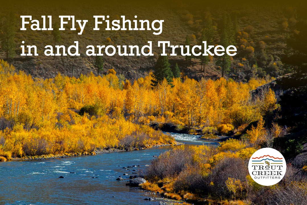 Fall Fly Fishing in and around Truckee