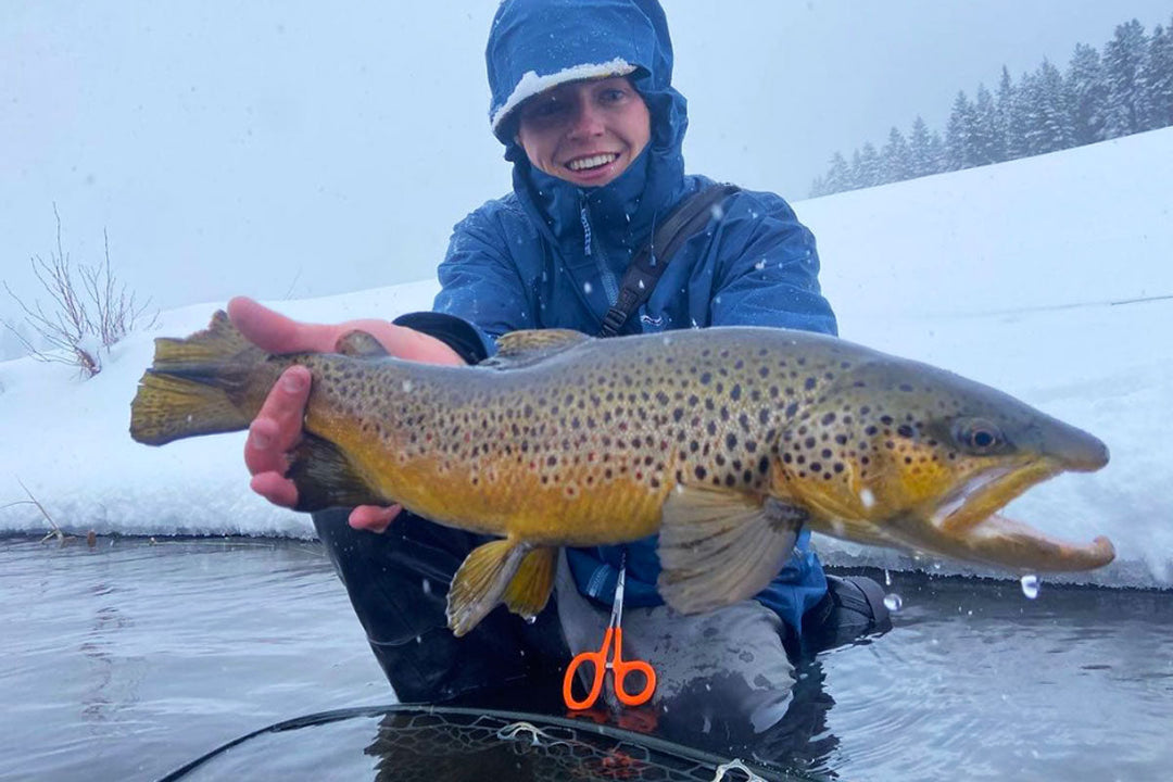 February 10, 2023 Fly Fishing Report for the Truckee River and Pyramid Lake