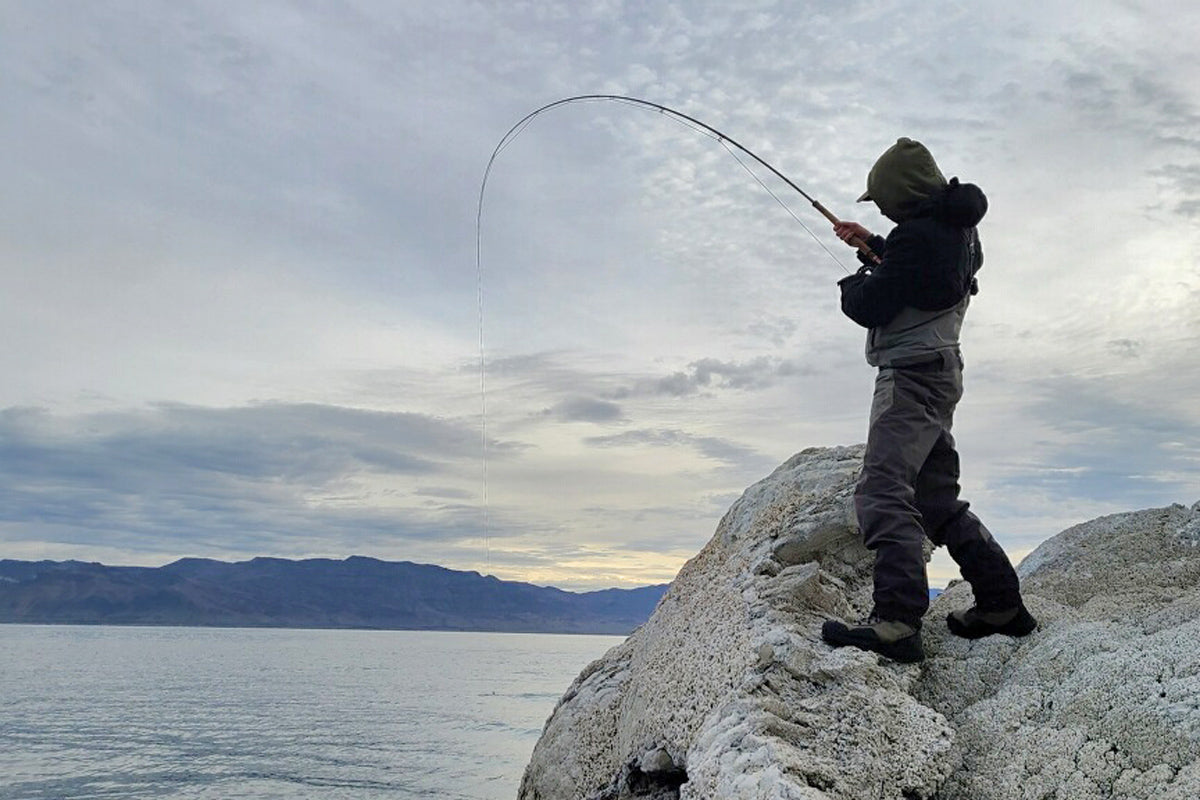 Truckee Tahoe Fly Fishing Report November 26, 2021