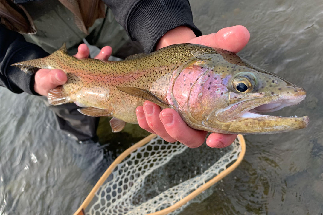 TCO Fishing Report – March 5, 2021