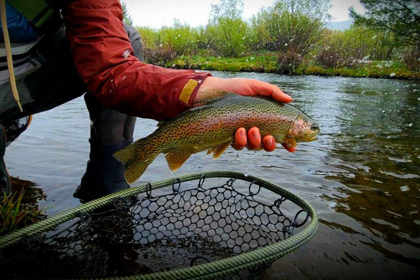 Truckee Fly Fishing Report May 21, 2021