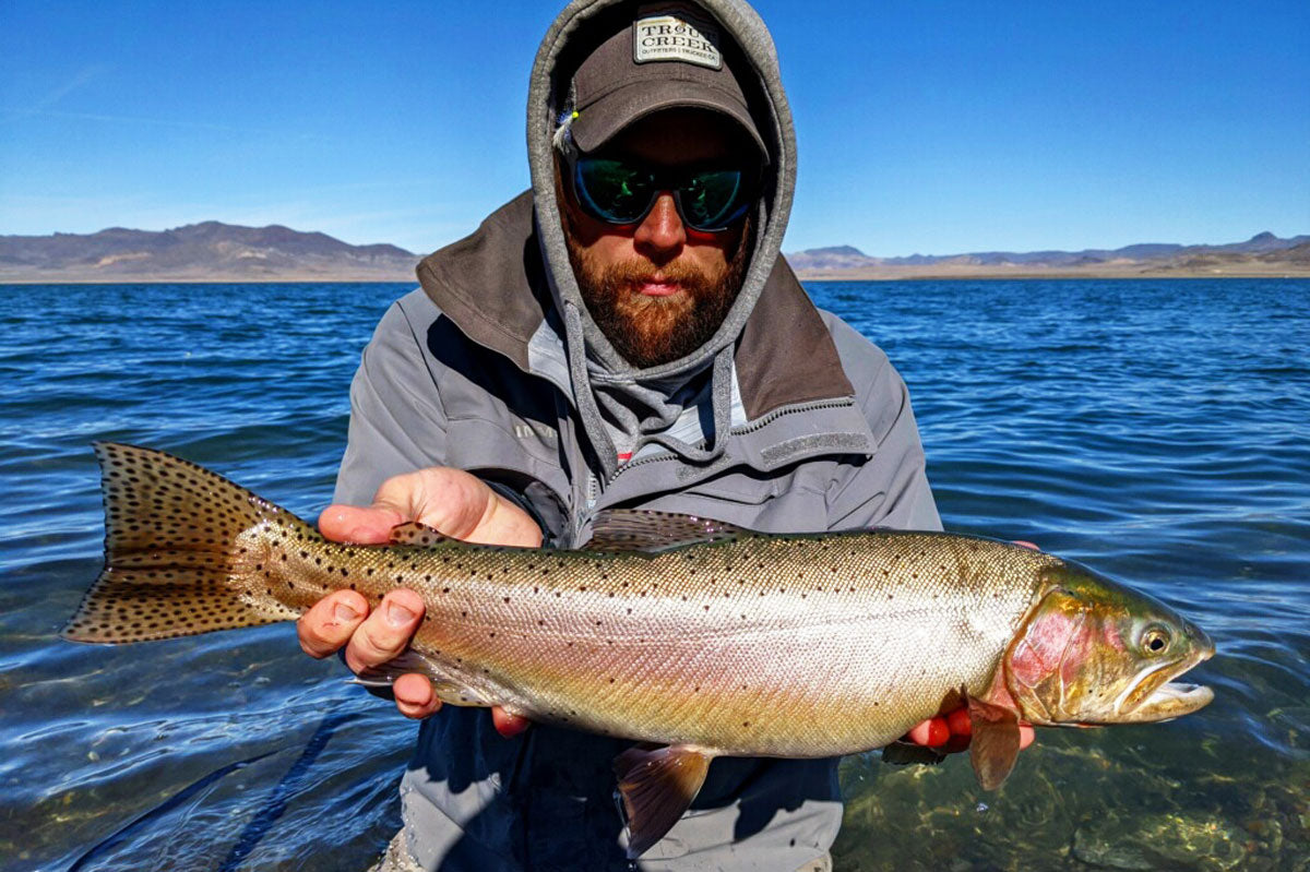 Truckee River and Pyramid Lake Fly Fishing Report for February 18, 2022