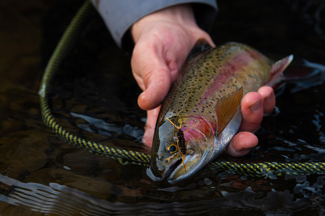 Truckee River Fly Fishing Report July 16, 2021