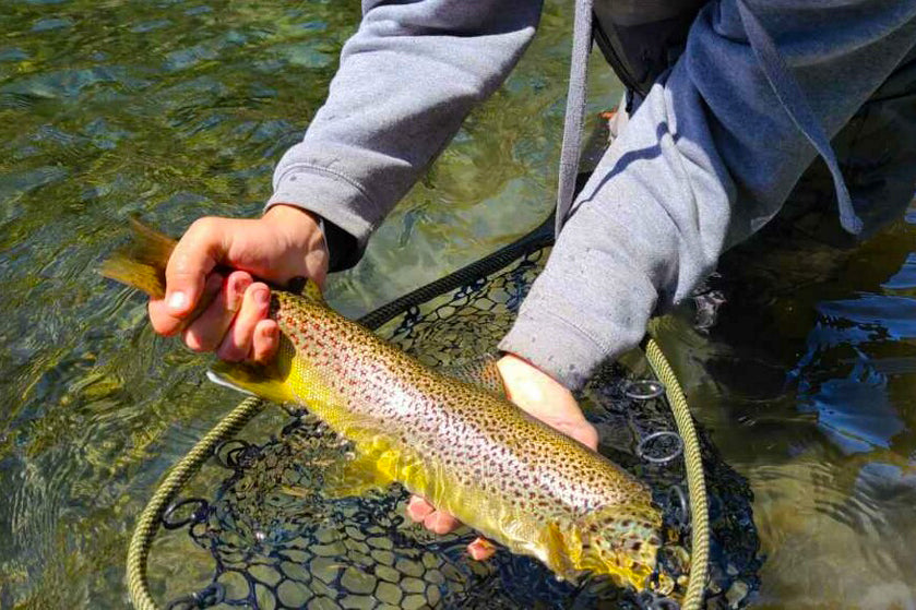 Truckee River Fly Fishing Report May 14, 2021