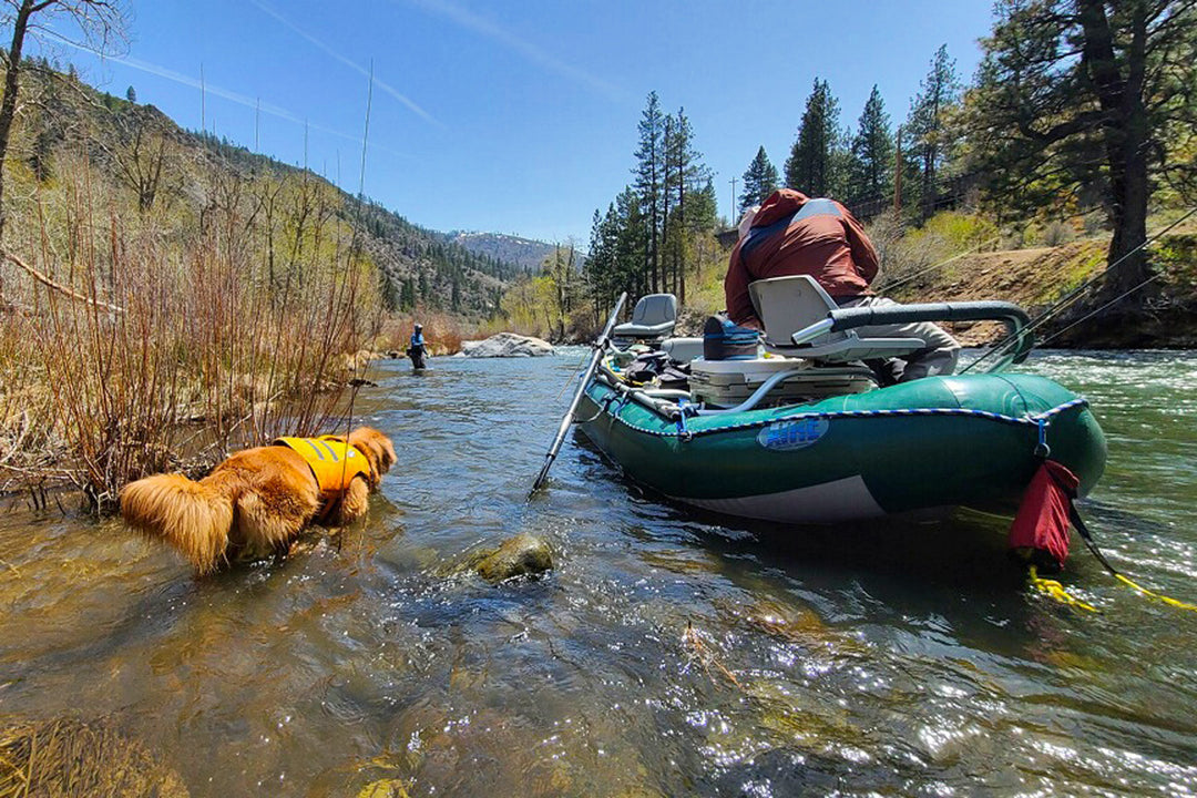 Truckee River and Pyramid Lake Fly Fishing Report April 29, 2022