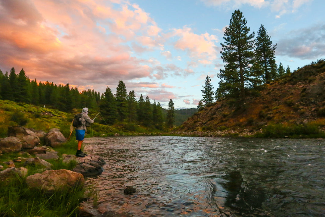 Truckee River and Pyramid Lake Fly Fishing Report April 9, 2022