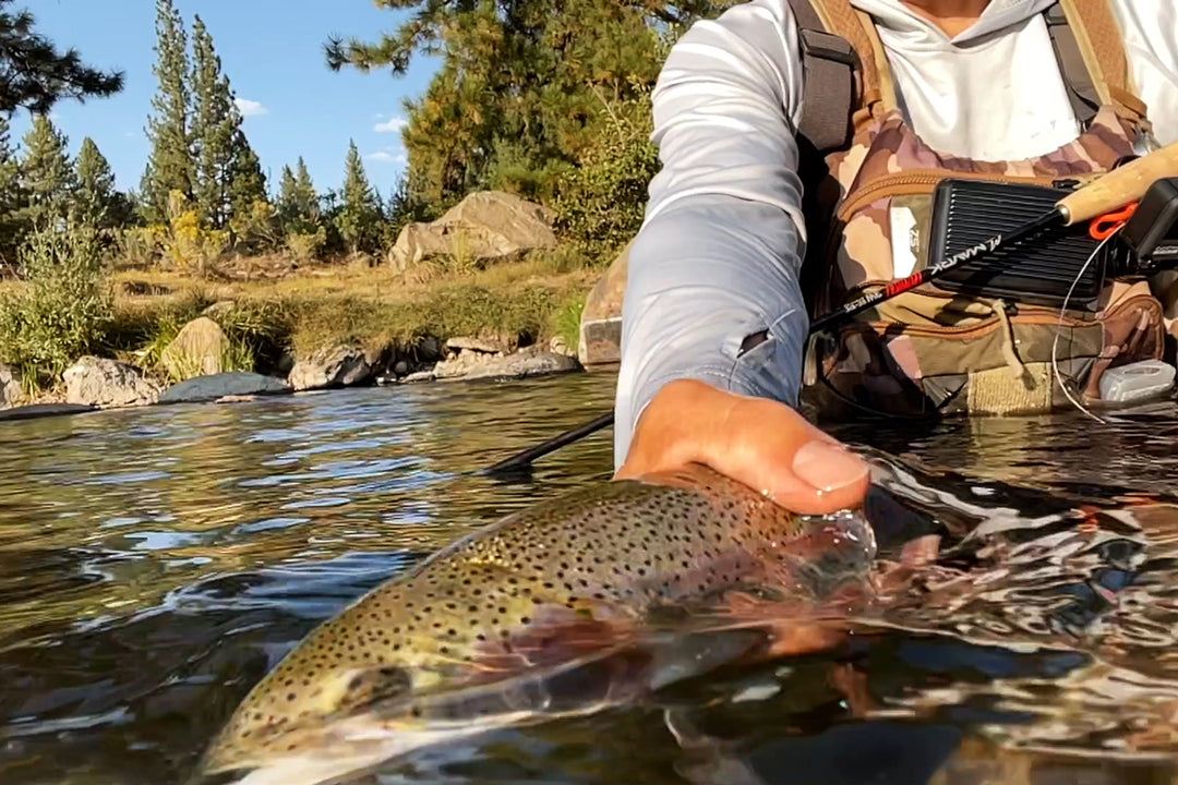 Truckee River Fly Fishing Report September 17, 2021