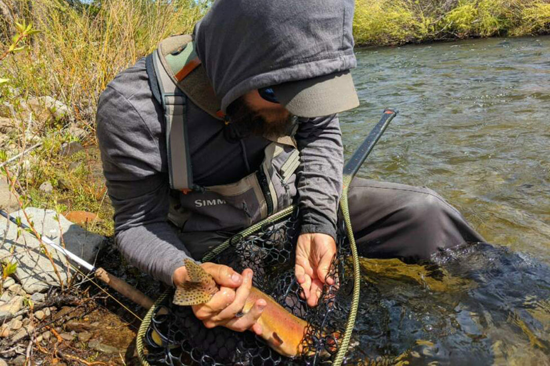 May 27, 2022 Fly Fishing Report and Forecast for the Truckee River Region