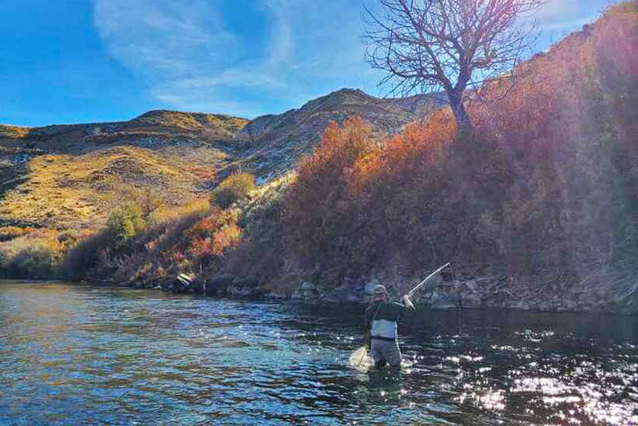 November 27, 2022 Fly Fishing Report for the Truckee River and Pyramid Lake