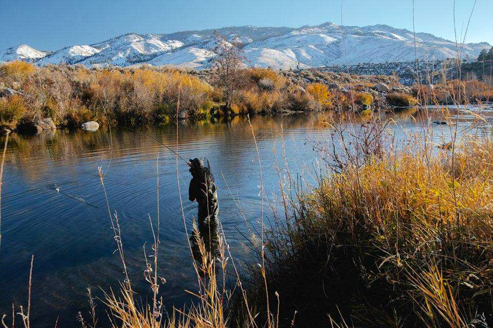 November 18, 2022 Fly Fishing Report for the Truckee River and Pyramid Lake