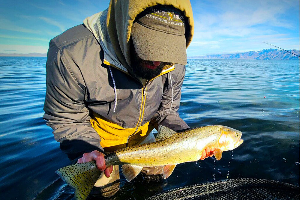 Truckee River and Pyramid Lake Fly Fishing Report January 7, 2022