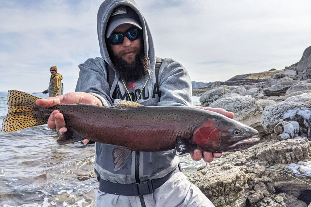 February 17, 2023 Fly Fishing Report for the Truckee River and Pyramid Lake