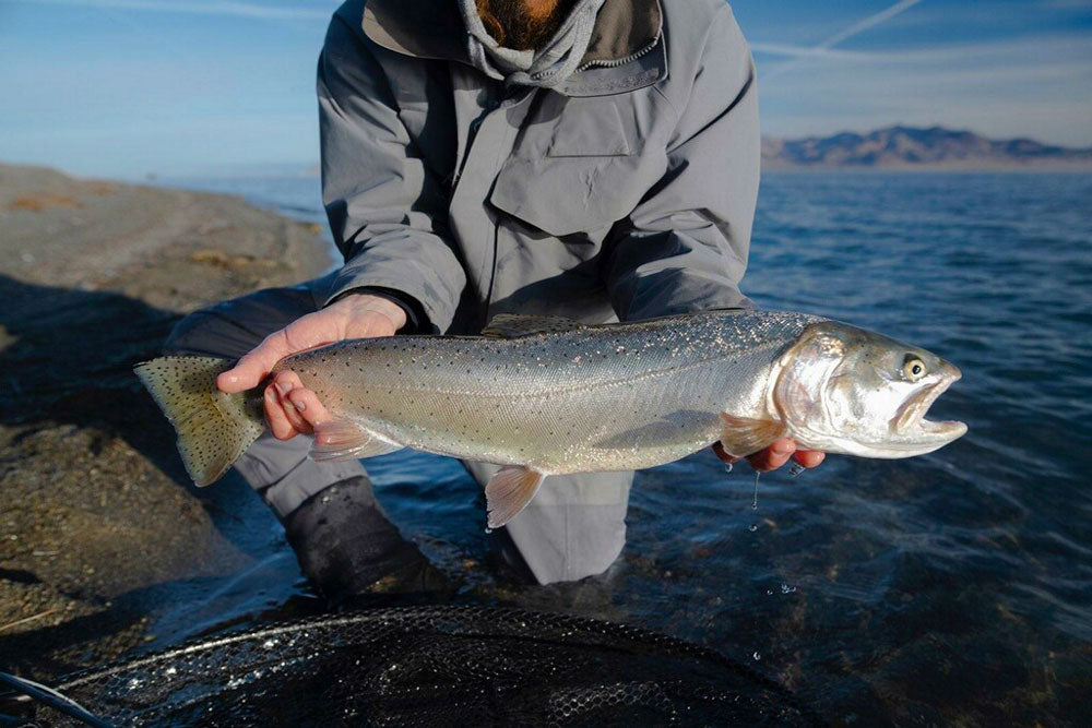 November 12, 2022 Fly Fishing Report for the Truckee River and Pyramid Lake