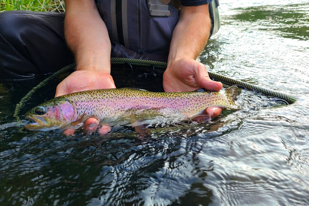 July 8, 2022 Fly Fishing Report for the Truckee River Region