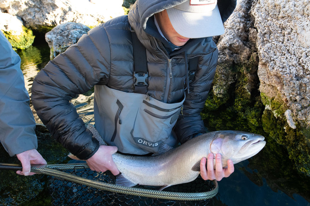 TCO Fishing Report – January 16, 2020