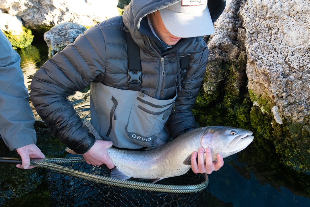 Truckee Tahoe Fly Fishing Report October 15, 2021