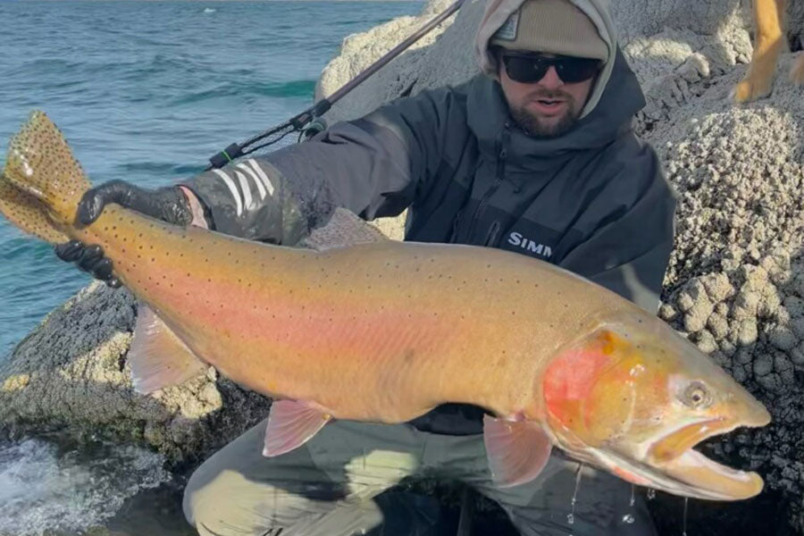 January 14, 2023 Fly Fishing Report