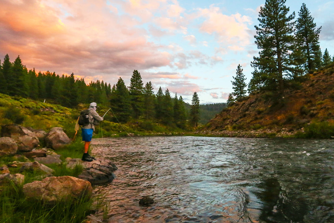 June 10, 2022 Fly Fishing Report for the Truckee River and surrounding waters