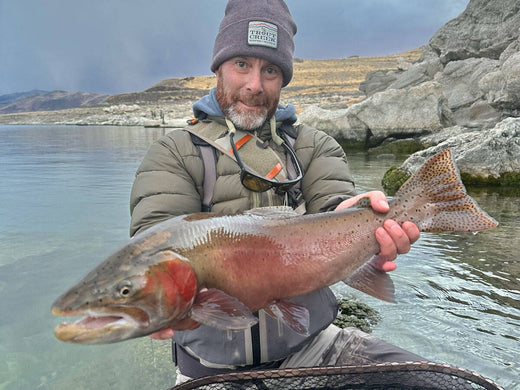 TCO Fishing Report - November 15th, 2024 for the Truckee River, Little Truckee River and Pyramid Lake