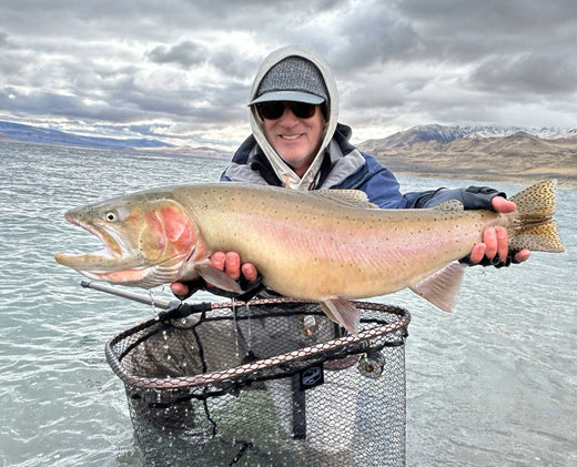 TCO Fishing Report - November 22nd, 2024 for the Truckee River, Little Truckee River and Pyramid Lake