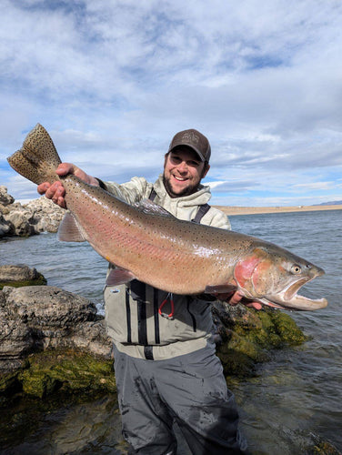 TCO Fishing Report - November 29th, 2024 for the Truckee River, Little Truckee River and Pyramid Lake