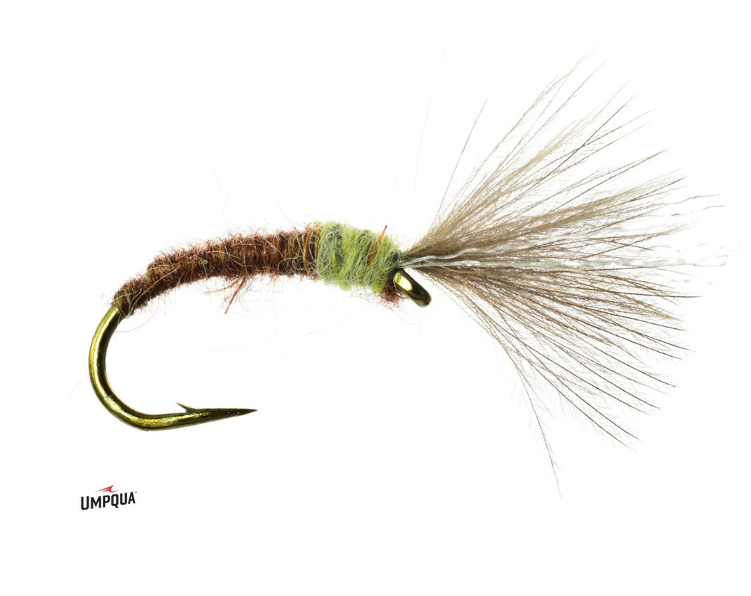 Umpqua Mole Fly