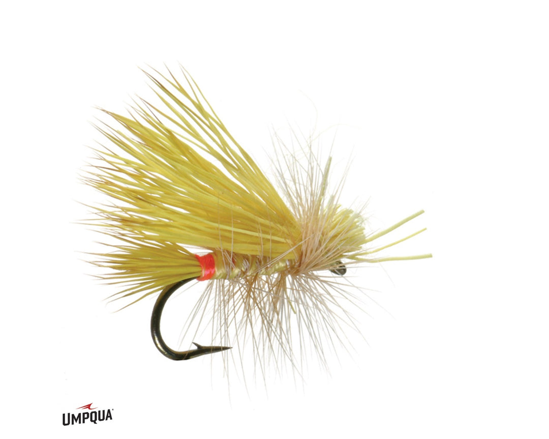 Umpqua Little Yellow Stone - Yellow Sally