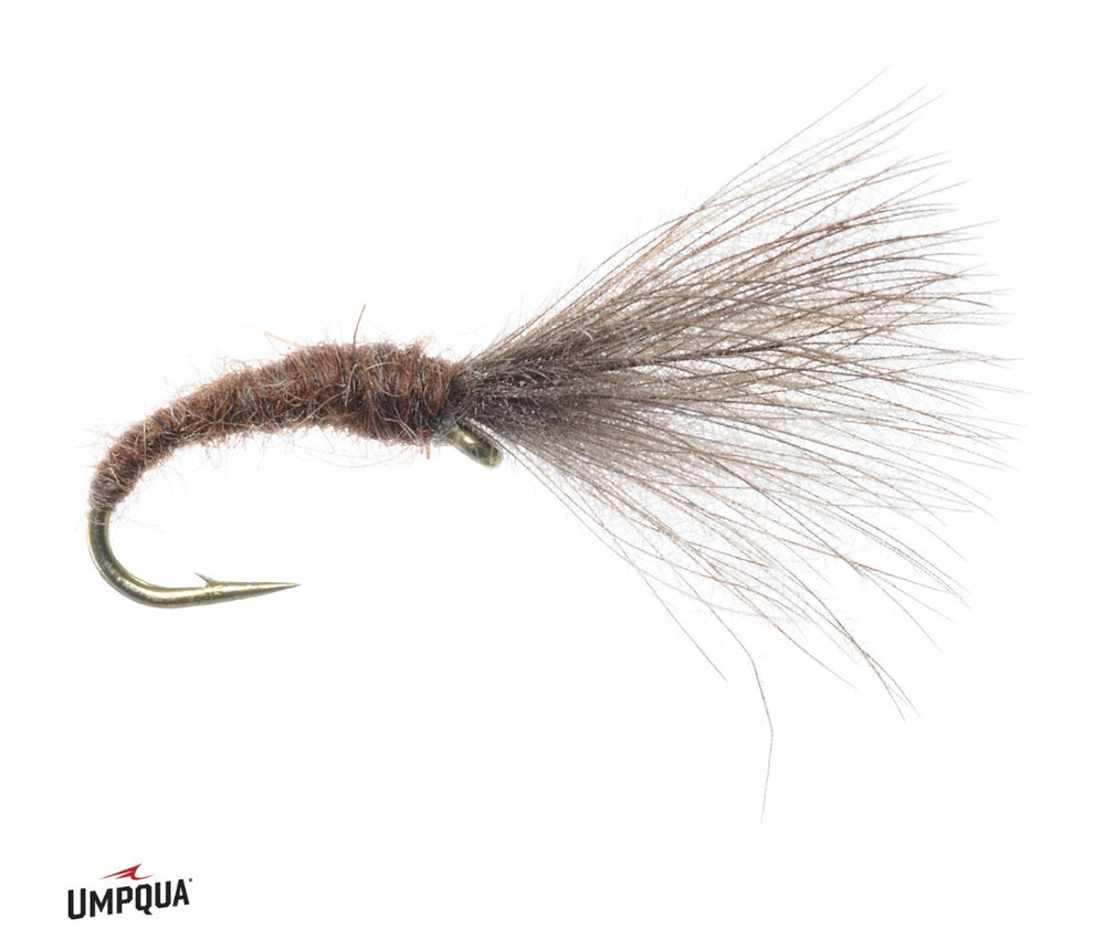 Umpqua Mole Fly