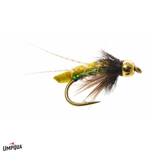 BH Caddis Poopah