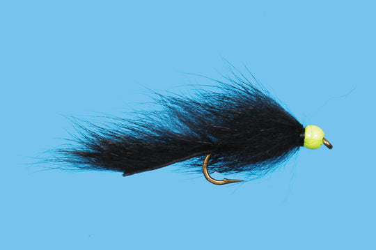 Hothead Squirrel Leech