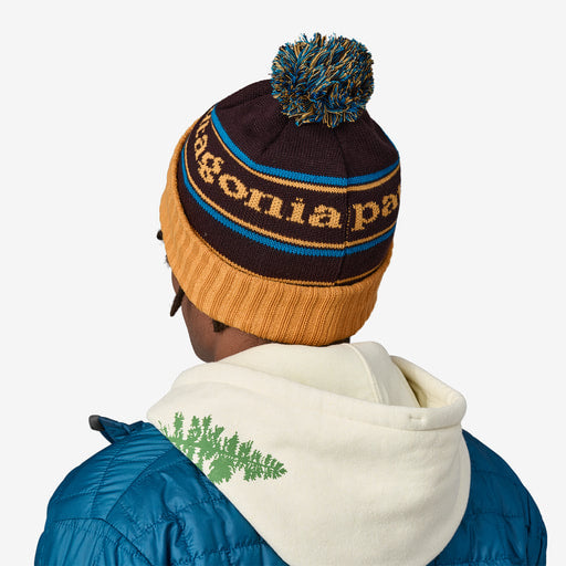 Patagonia Powder Town Beanie Hat