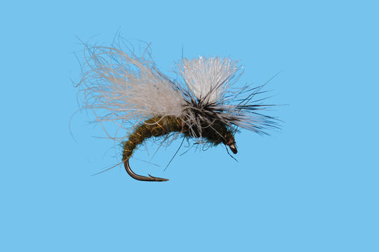 Snow Shoe Caddis