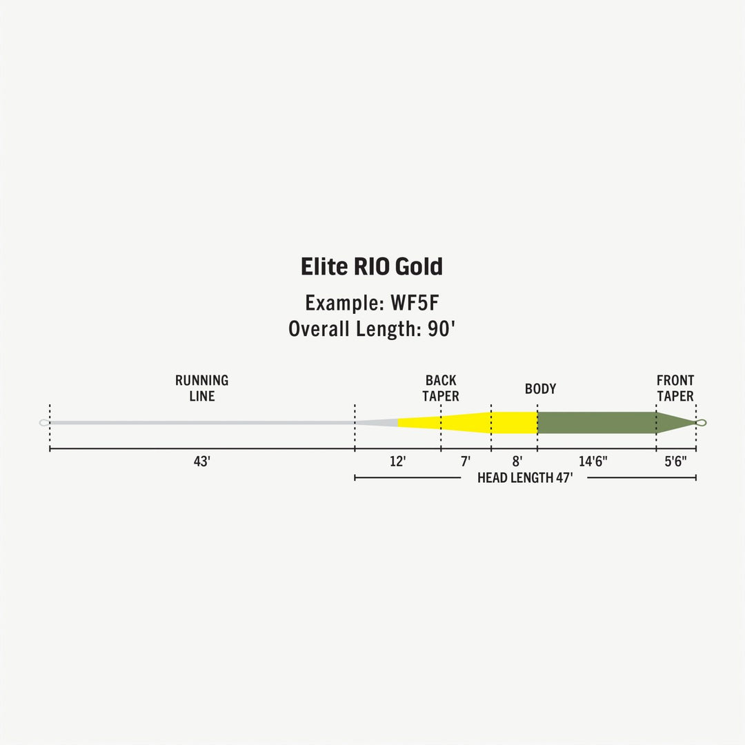 Rio Elite Gold